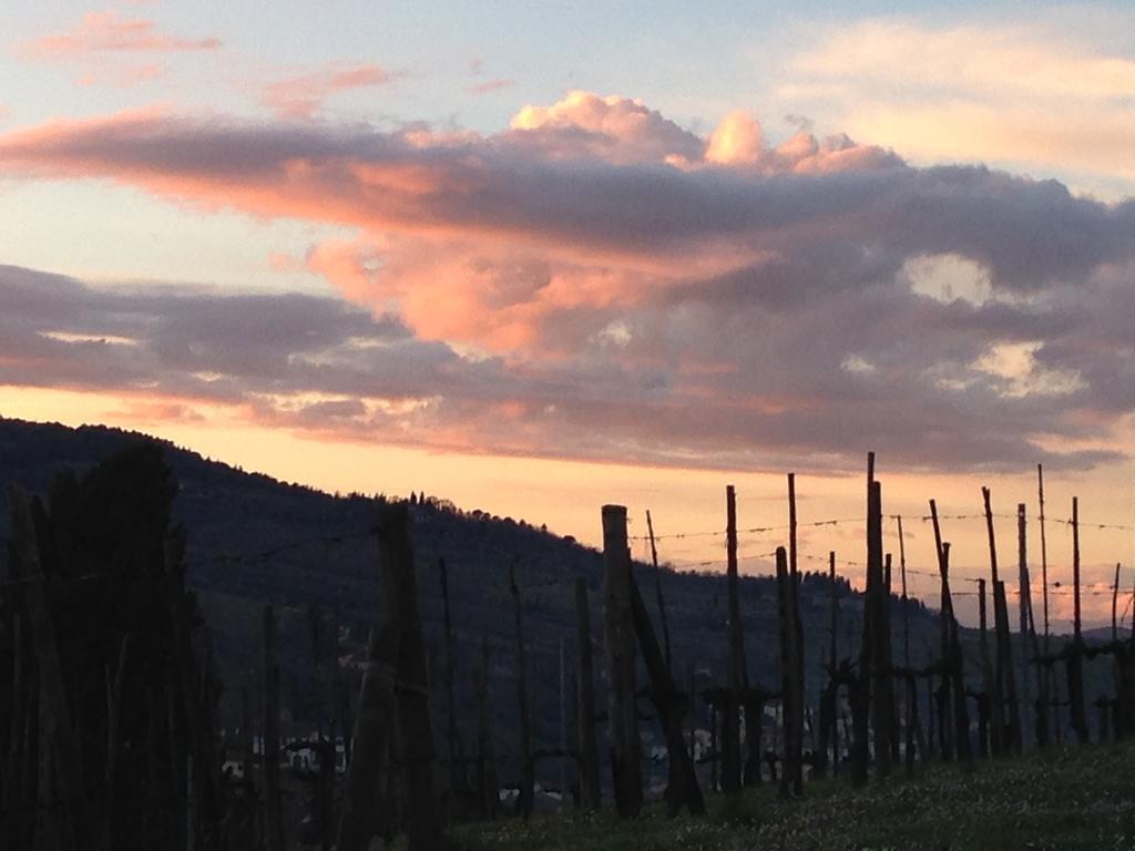 Casale Le Masse Greve in Chianti Exteriör bild