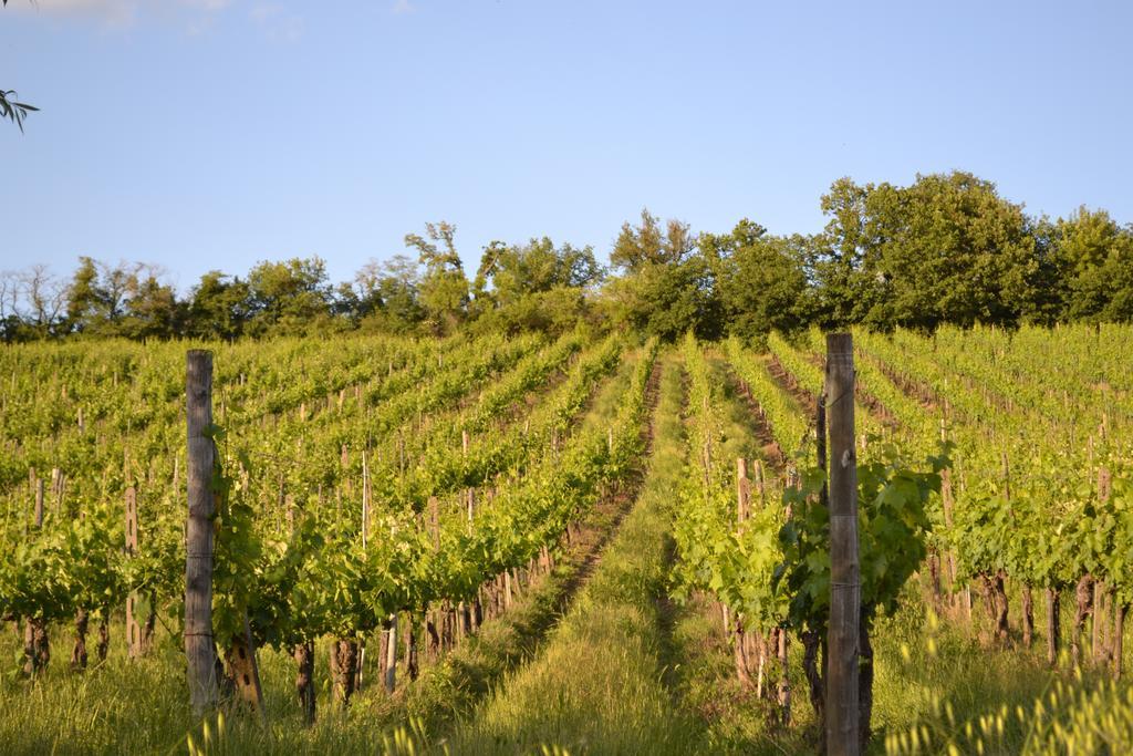 Casale Le Masse Greve in Chianti Exteriör bild